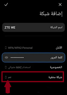 الشبكة المخفية